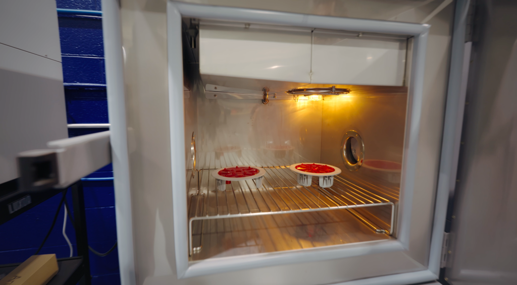 Phillips’ R&D Facility: Driving Customer-Centric Innovation and Quality